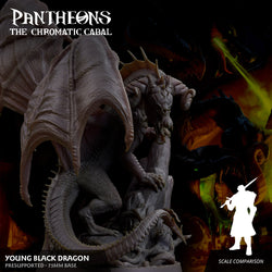 3D Printed Sordane Publishing Young Black Dragon Pantheons The Chromatic Cabal 28 32mm D&D (Online Only)