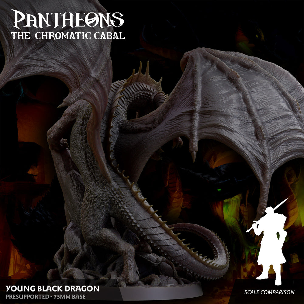 3D Printed Sordane Publishing Young Black Dragon Pantheons The Chromatic Cabal 28 32mm D&D (Online Only)