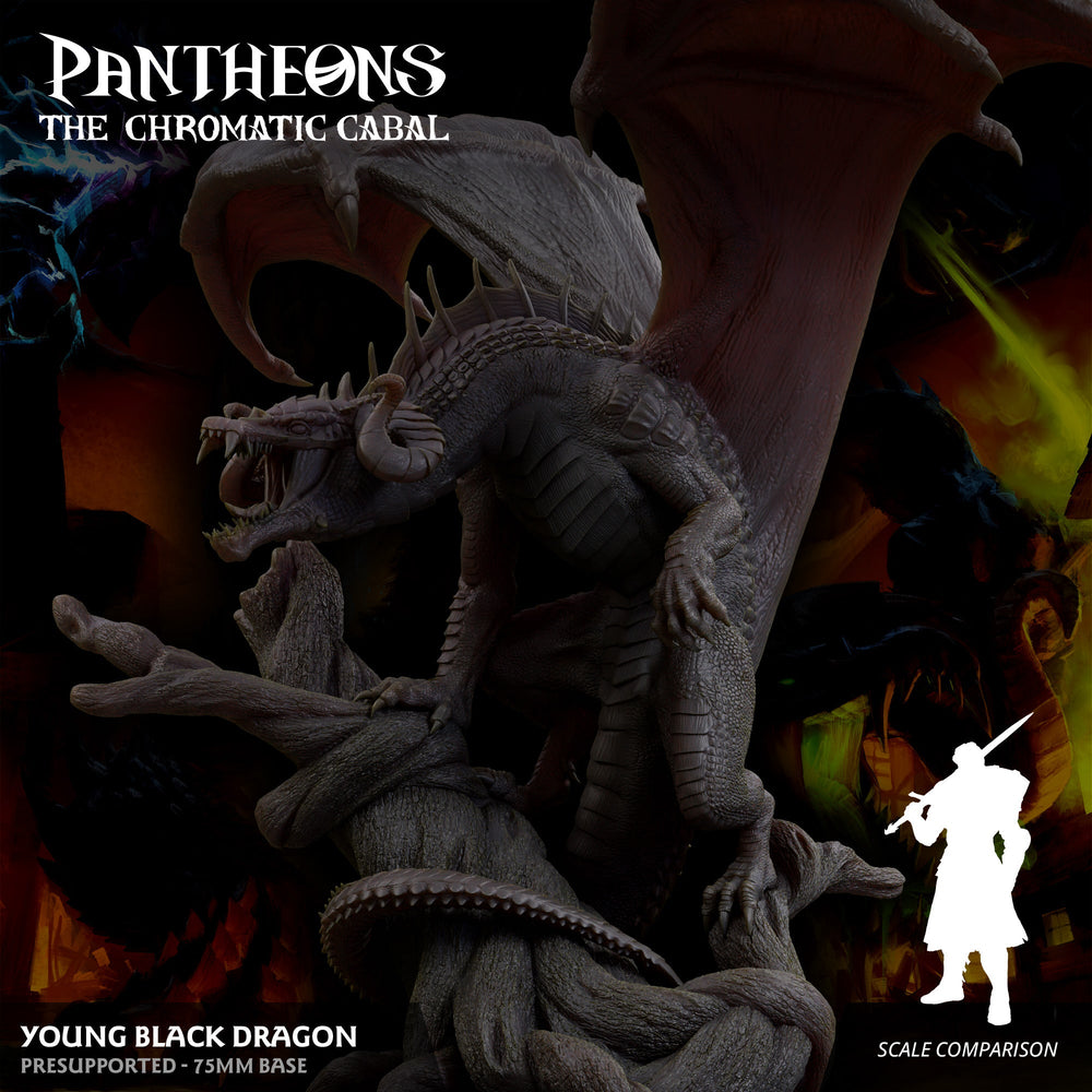 3D Printed Sordane Publishing Young Black Dragon Pantheons The Chromatic Cabal 28 32mm D&D (Online Only)
