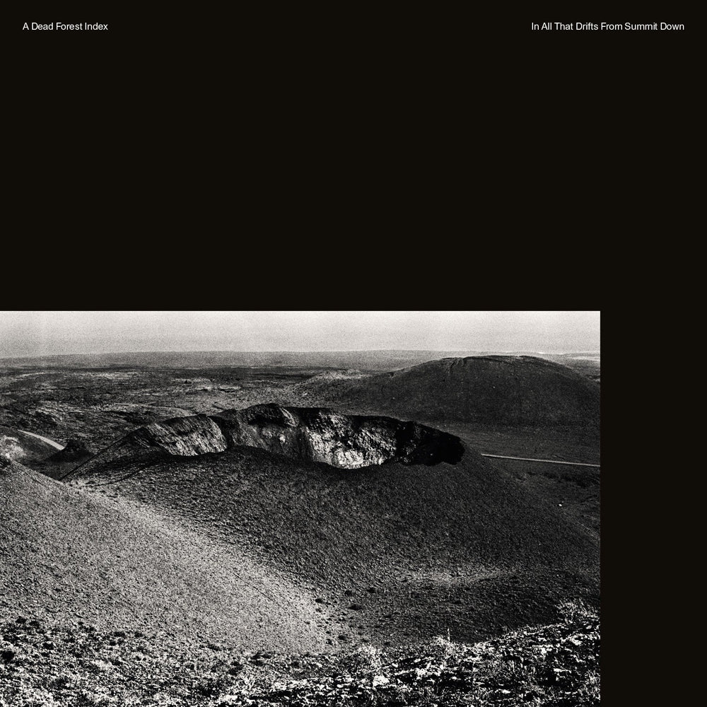 In All That Drifts From Summit Down [Vinyl] (ONLINE ORDER ONLY)