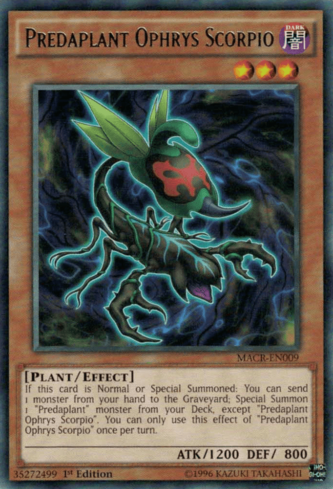 Predaplant Ophrys Scorpio [MACR-EN009] Rare (ONLINE ORDER ONLY)