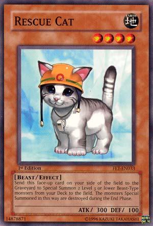 Rescue Cat [FET-EN033] Common (ONLINE ORDER ONLY)