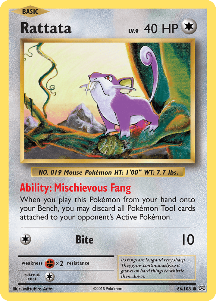 Rattata (66/108) [XY: Evolutions] (Online Only)