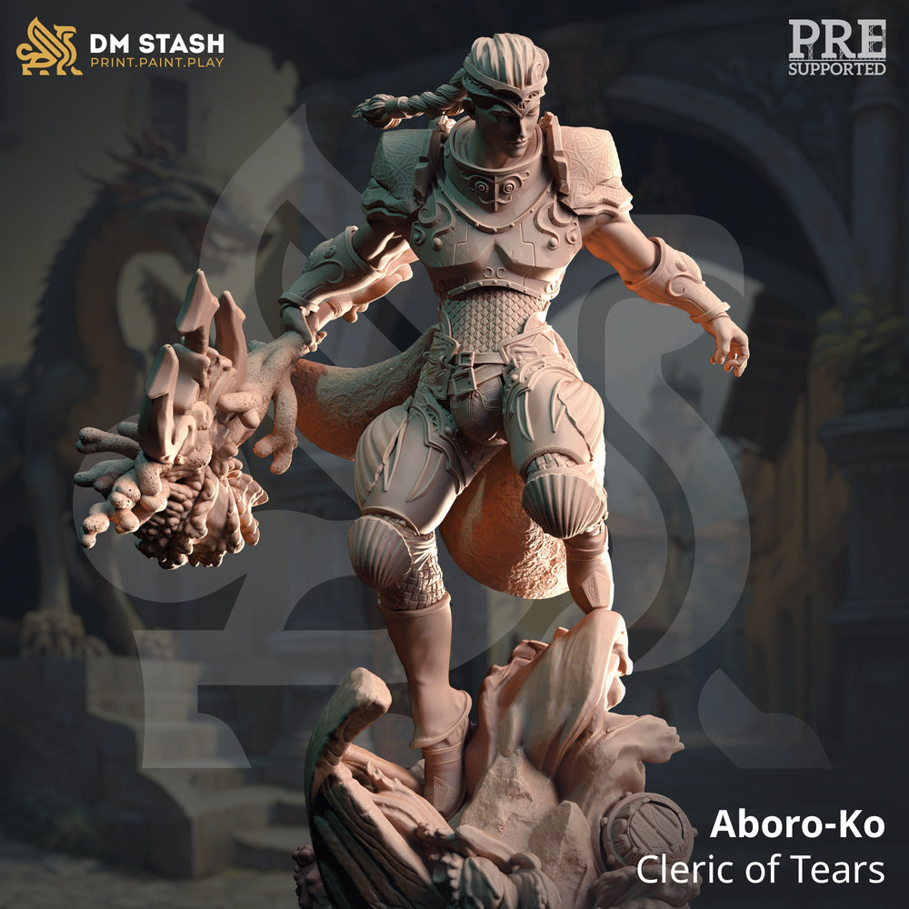 Aboro-Ko, Cleric of Tears (Male Human Pirate Cleric) (Online Only)