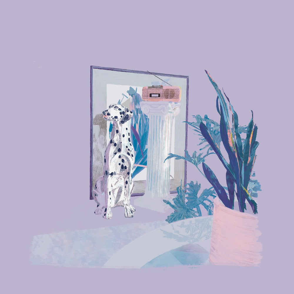 shapes & colors [CD] (ONLINE ORDER ONLY)
