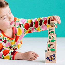 Life Cycle Wooden Blocks (ONLINE ORDER ONLY)