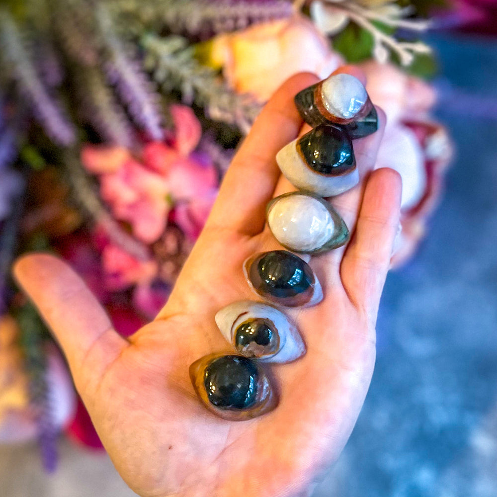Enchanted Agate Eye Crystals, Metaphysical Supplies (ONLINE ORDER ONLY)
