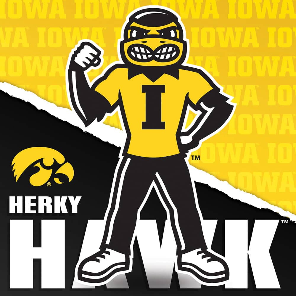 Iowa Hawkeyes - NCAA Mascot 100 Piece Jigsaw Puzzle (ONLINE ORDER ONLY)