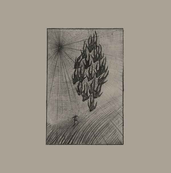 AINE O'DWYER - Locusts [Vinyl] (ONLINE ORDER ONLY)