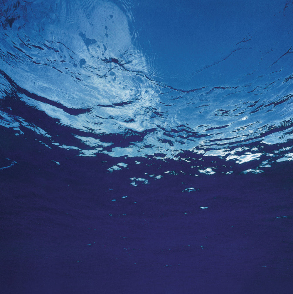 Marine Flowers [Vinyl] (ONLINE ORDER ONLY)