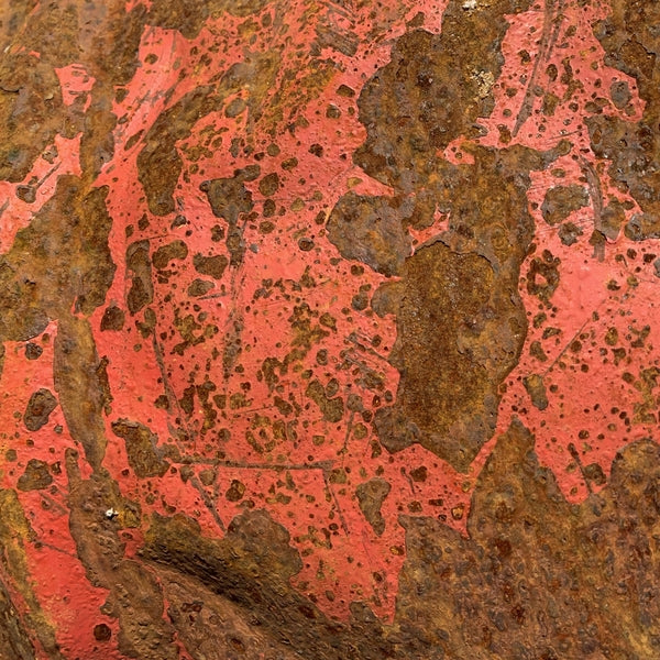 The Stone [Vinyl] (ONLINE ORDER ONLY)