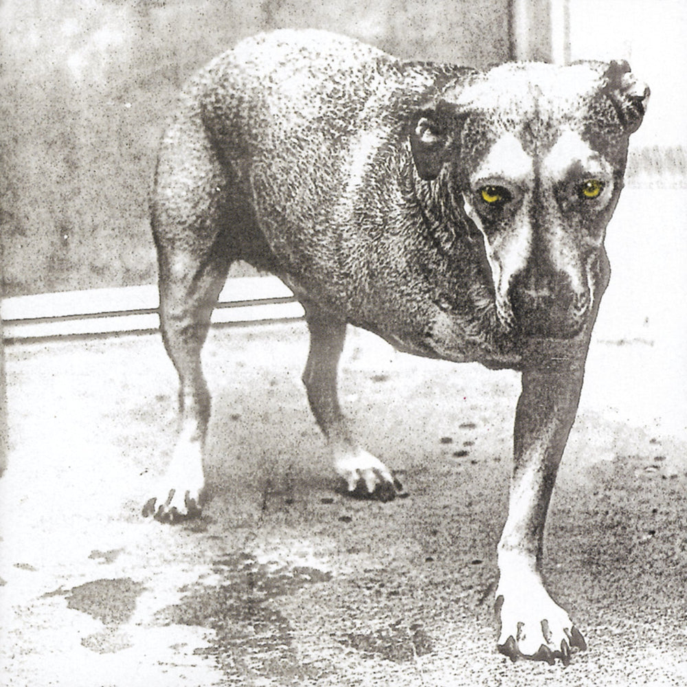 Alice In Chains (30Th Anniversary Reissue) [Color Vinyl] [2LP] [Vinyl]