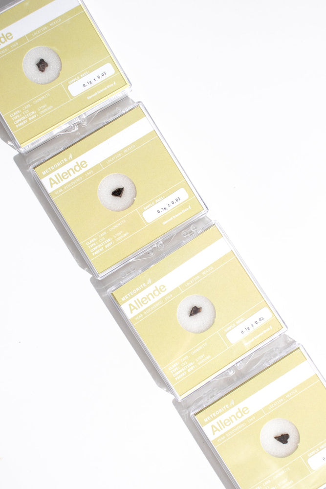 Allende Meteorite - "The Oldest Known Material" (Online Order Only)