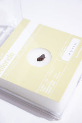 Allende Meteorite - "The Oldest Known Material" (Online Order Only)