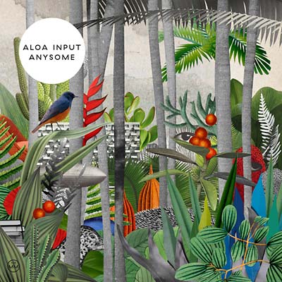 ALOA INPUT - Anysome [Vinyl] (ONLINE ORDER ONLY)