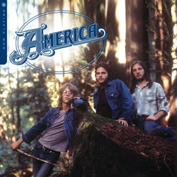Now Playing [Vinyl] (ONLINE ORDER ONLY)