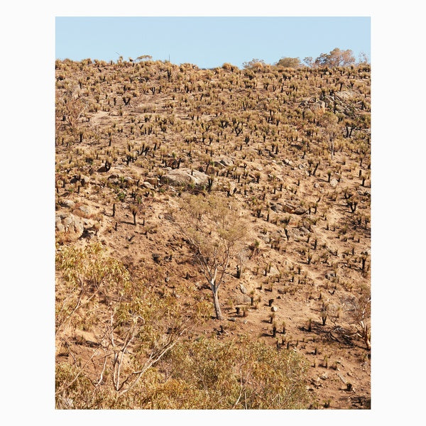 ANDREW PEKLER & GIUSEPPE IELASI - Palimpsests [Vinyl] (ONLINE ORDER ONLY)