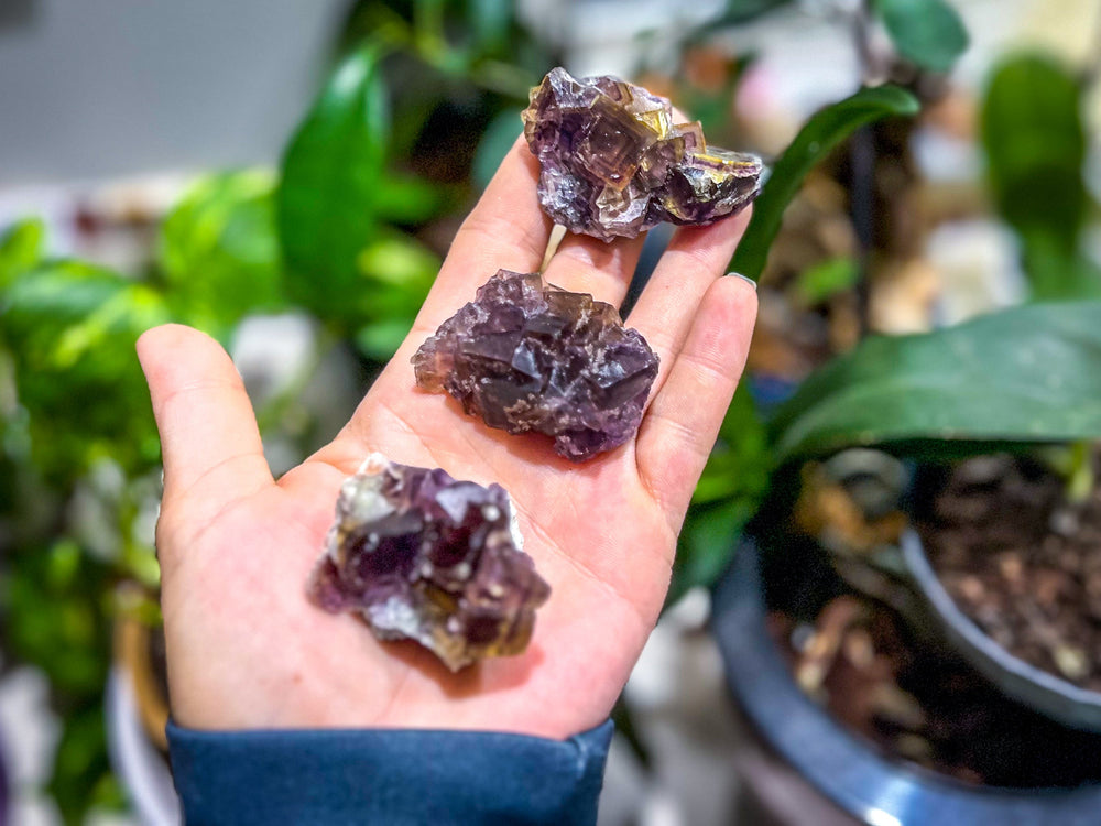 ANHUI Yellow Fluorite with Thousand Layer Purple Phantoms, RARE Minerals (ONLINE ORDER ONLY)