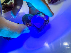ANHUI Yellow Fluorite with Thousand Layer Purple Phantoms, RARE Minerals (ONLINE ORDER ONLY)
