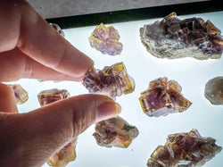 ANHUI Yellow Fluorite with Thousand Layer Purple Phantoms, RARE Minerals (ONLINE ORDER ONLY)