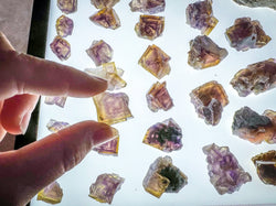 ANHUI Yellow Fluorite with Thousand Layer Purple Phantoms, RARE Minerals (ONLINE ORDER ONLY)