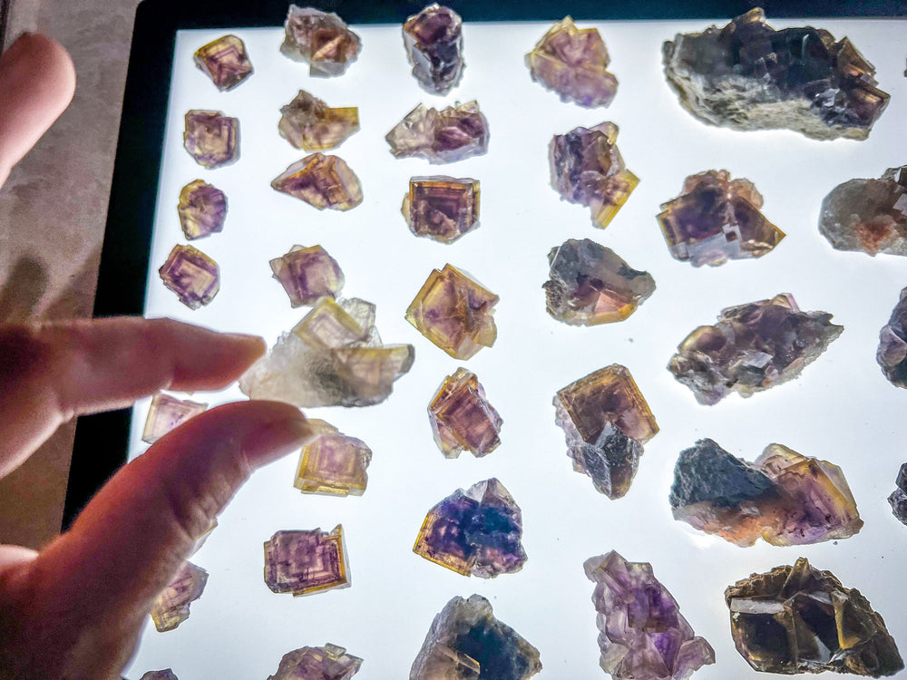 ANHUI Yellow Fluorite with Thousand Layer Purple Phantoms, RARE Minerals (ONLINE ORDER ONLY)
