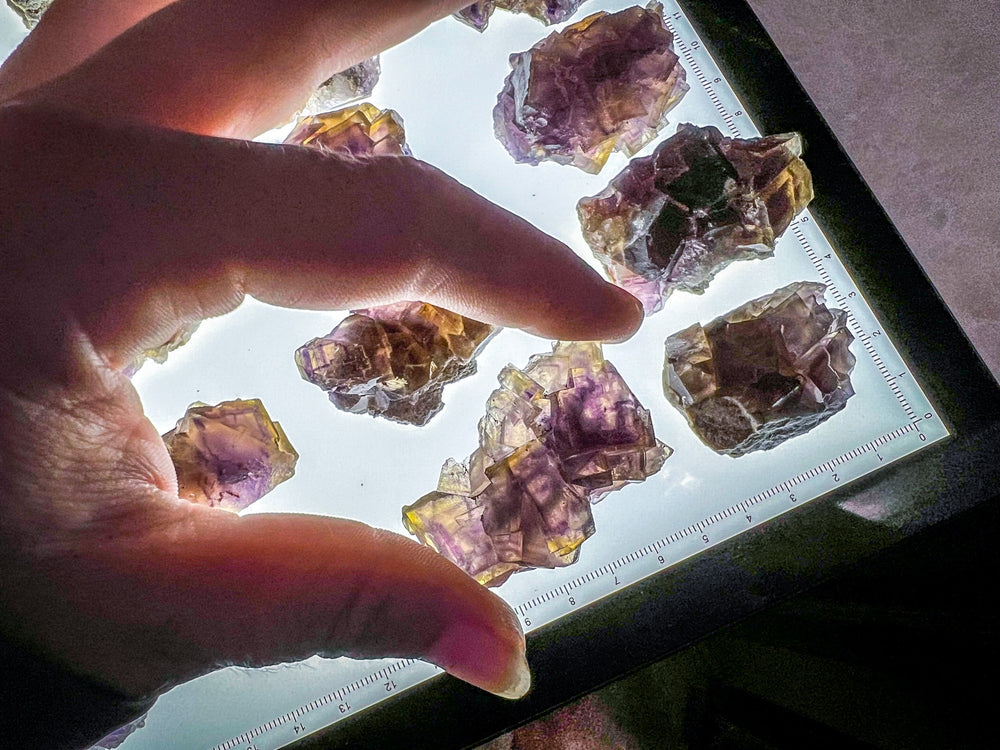 ANHUI Yellow Fluorite with Thousand Layer Purple Phantoms, RARE Minerals (ONLINE ORDER ONLY)