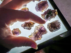 ANHUI Yellow Fluorite with Thousand Layer Purple Phantoms, RARE Minerals (ONLINE ORDER ONLY)