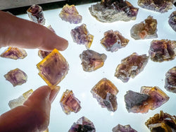 ANHUI Yellow Fluorite with Thousand Layer Purple Phantoms, RARE Minerals (ONLINE ORDER ONLY)