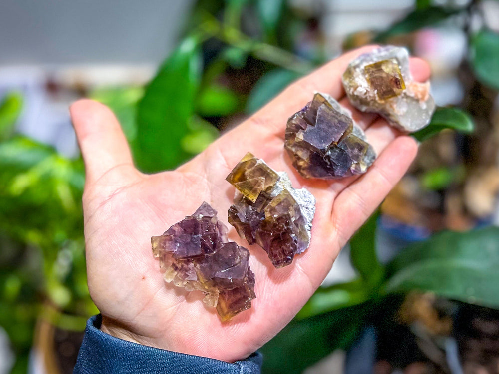 ANHUI Yellow Fluorite with Thousand Layer Purple Phantoms, RARE Minerals (ONLINE ORDER ONLY)