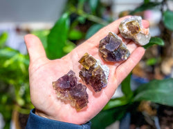 ANHUI Yellow Fluorite with Thousand Layer Purple Phantoms, RARE Minerals (ONLINE ORDER ONLY)