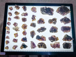 ANHUI Yellow Fluorite with Thousand Layer Purple Phantoms, RARE Minerals (ONLINE ORDER ONLY)