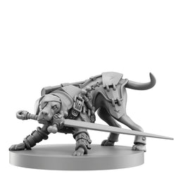 Animal Adventures: Starter Set (ONLINE ORDER ONLY)