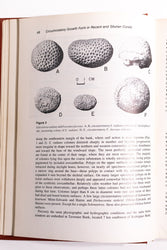Animal Colonies: Development and Function Through Time (ONLINE ORDER ONLY)
