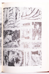 Animal Colonies: Development and Function Through Time (ONLINE ORDER ONLY)