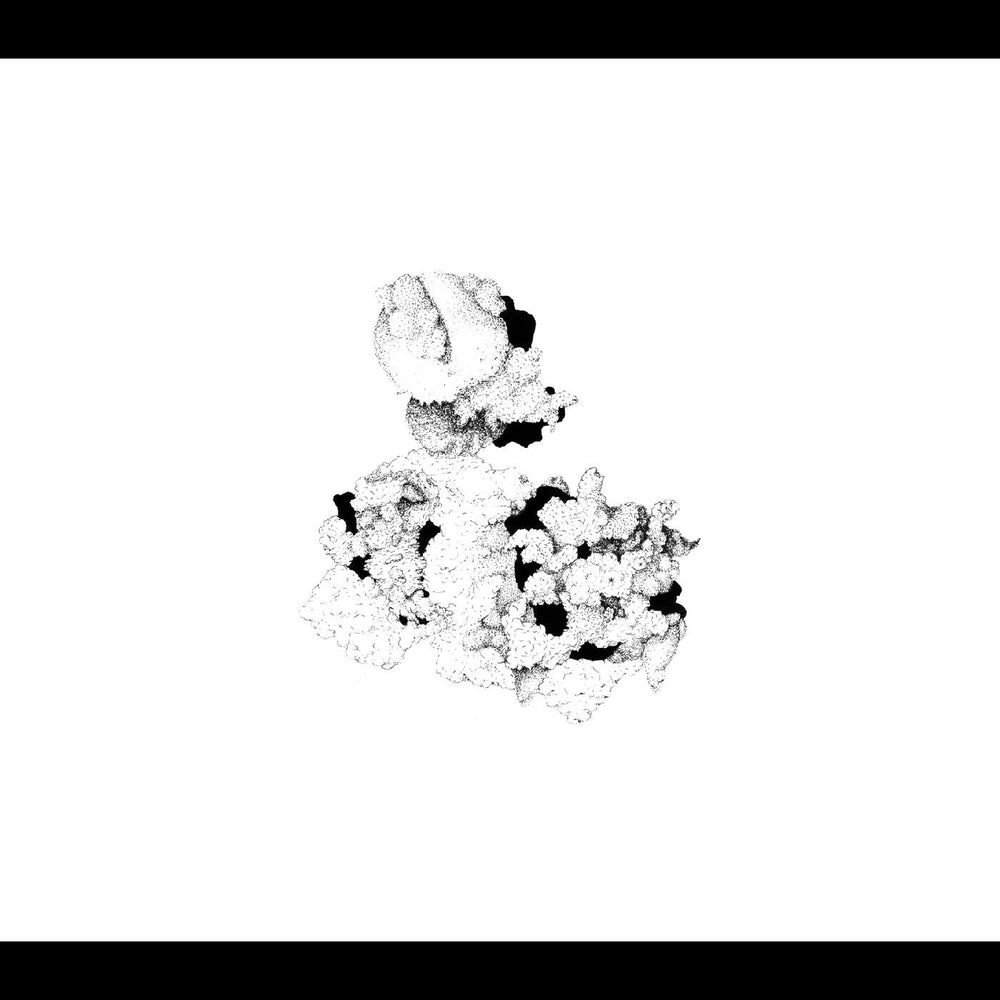 Capacious Aeration [CD] (ONLINE ORDER ONLY)
