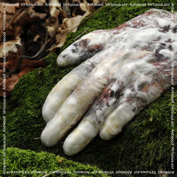 Virtuous.scr [CD] (ONLINE ORDER ONLY)