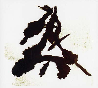 Einzelkämpfer (Lone Warrior) [CD] (ONLINE ORDER ONLY)