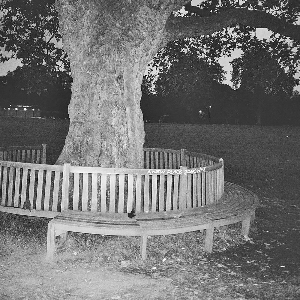 A New Place 2 Drown (Instrumentals) [Vinyl] (ONLINE ORDER ONLY)