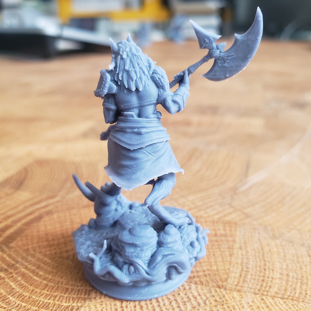 Ariana Grey, the Wolf Queen (Female Werewolf Barbarian) (Online Only)