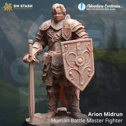 Arion Midrun, Battle Master (Male Human Fighter) (Online Only)