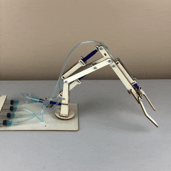 Hydraulic Robotic Arm DIY Kit, Educational STEM Toy (ONLINE ORDER ONLY)
