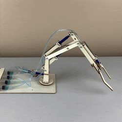 Hydraulic Robotic Arm DIY Kit, Educational STEM Toy (ONLINE ORDER ONLY)