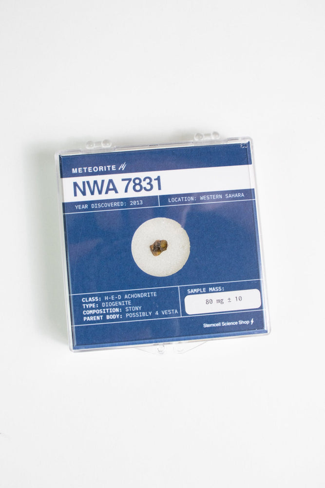 Asteroid 4 Vesta Meteorite (Online Order Only)