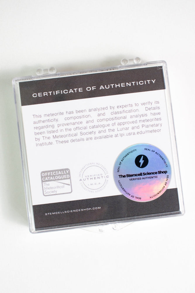 Asteroid 4 Vesta Meteorite (Online Order Only)