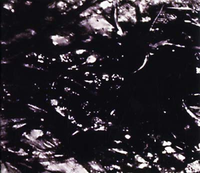 ASVA - Presences Of Absences [CD] (ONLINE ORDER ONLY)