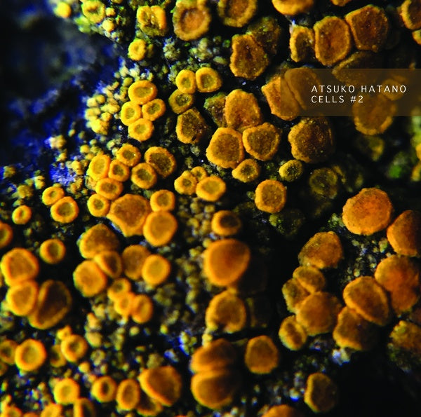ATSUKO HATANO - Cells #2 [Cassette] (ONLINE ORDER ONLY)