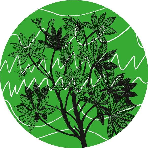 Brasil Novas Frequencias [Vinyl] (ONLINE ORDER ONLY)