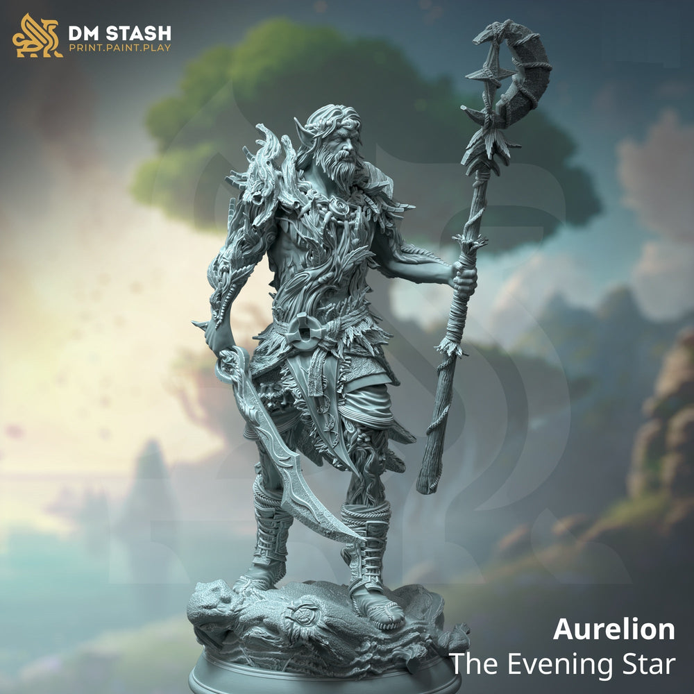Aurelion, the Evening Star (Male Half-Elf Druid) (Online Only)