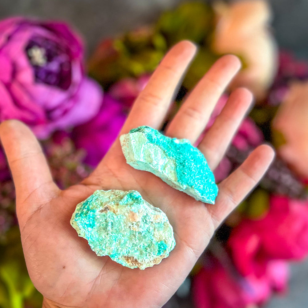 Raw Aurichalcite with Hemimorphite Specimens, USA Minerals (ONLINE ORDER ONLY)